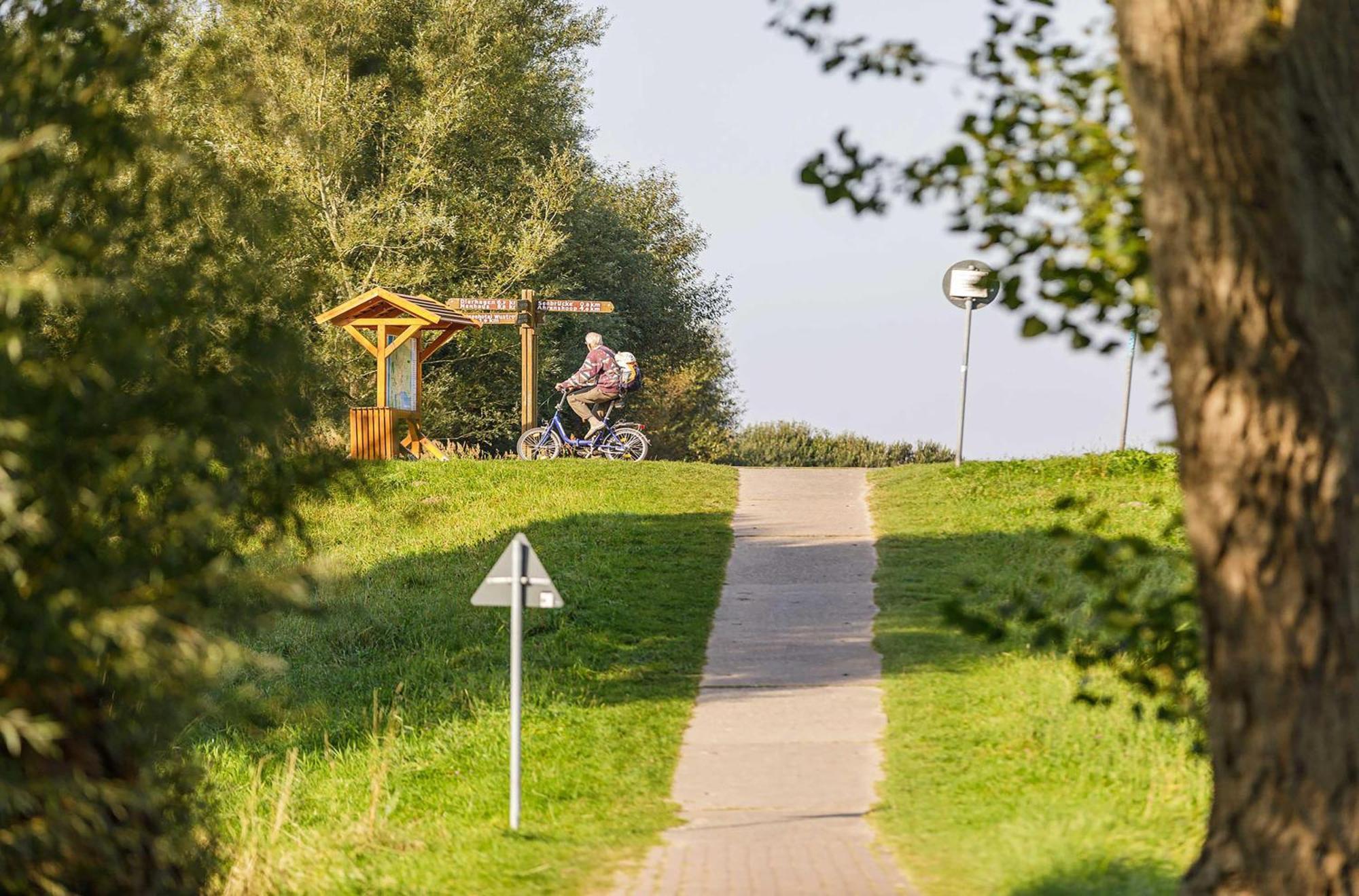 Seeschwalbe In Der Alten Seefahrtschule Wustrow  Ngoại thất bức ảnh